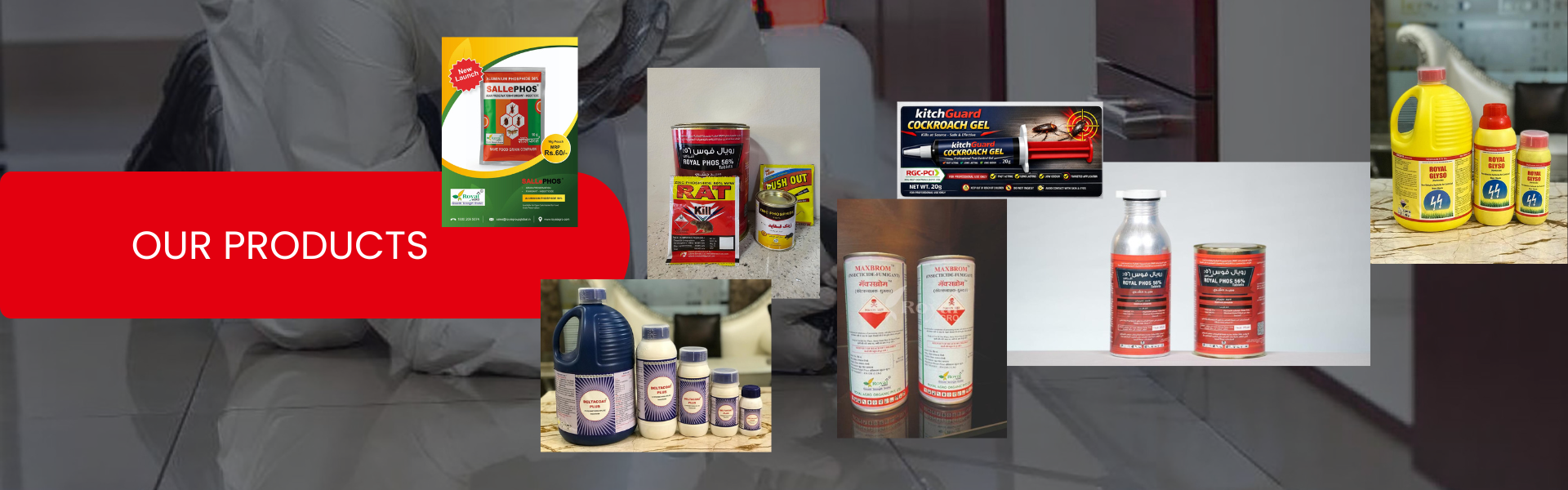 Residential Or Commercial Pest Control (3)